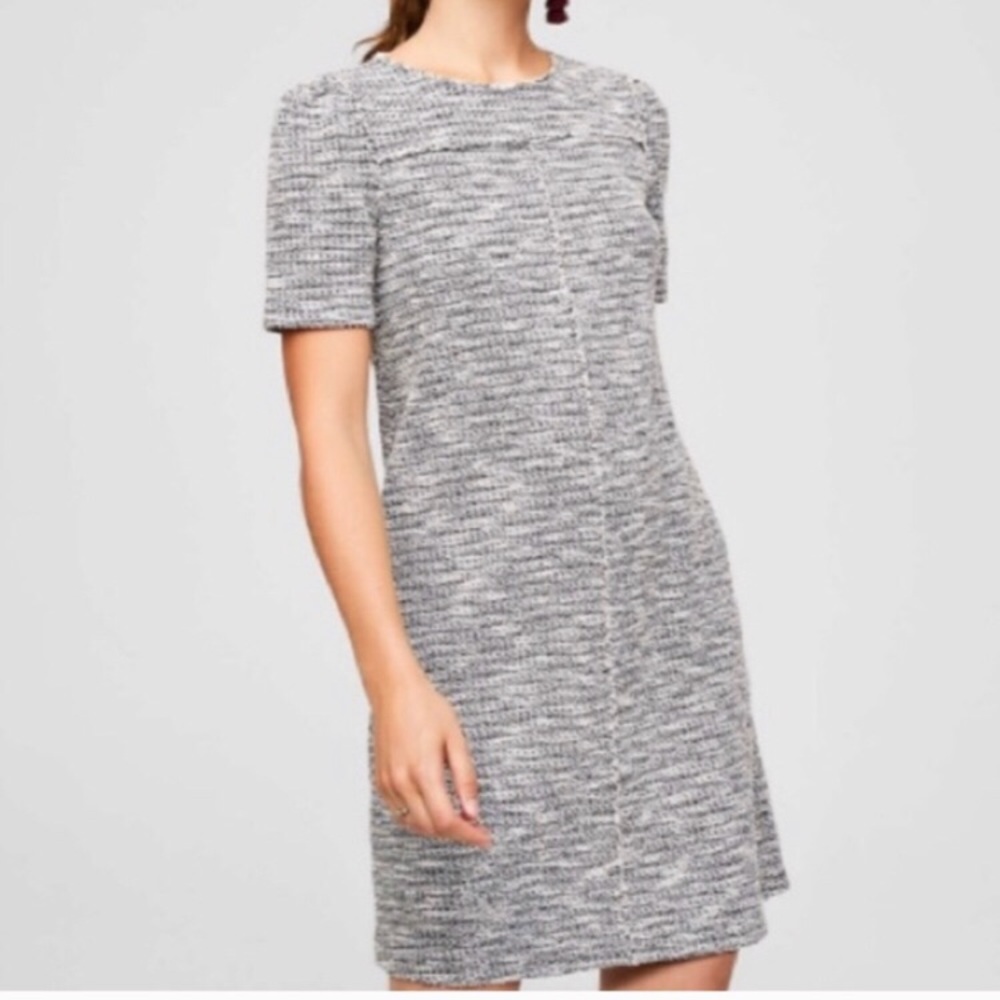 Loft Tweed Dress